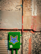 Funny Cat Vinyl Sticker | Starsky | Groovy Gato